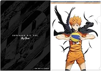 ★送料込★ハイキュー!!★J-WORLD★日向翔陽まとめ売り 61hleM1E1+L._AC_UF350,